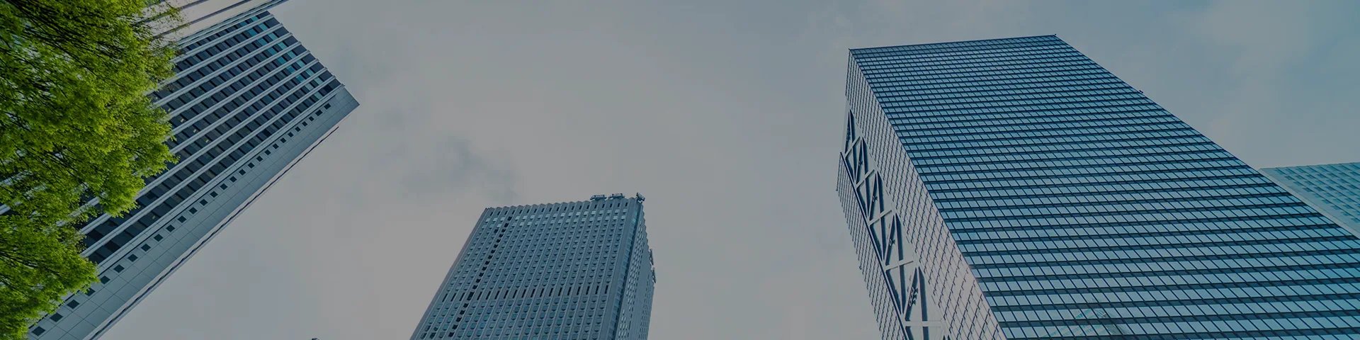 공지사항
